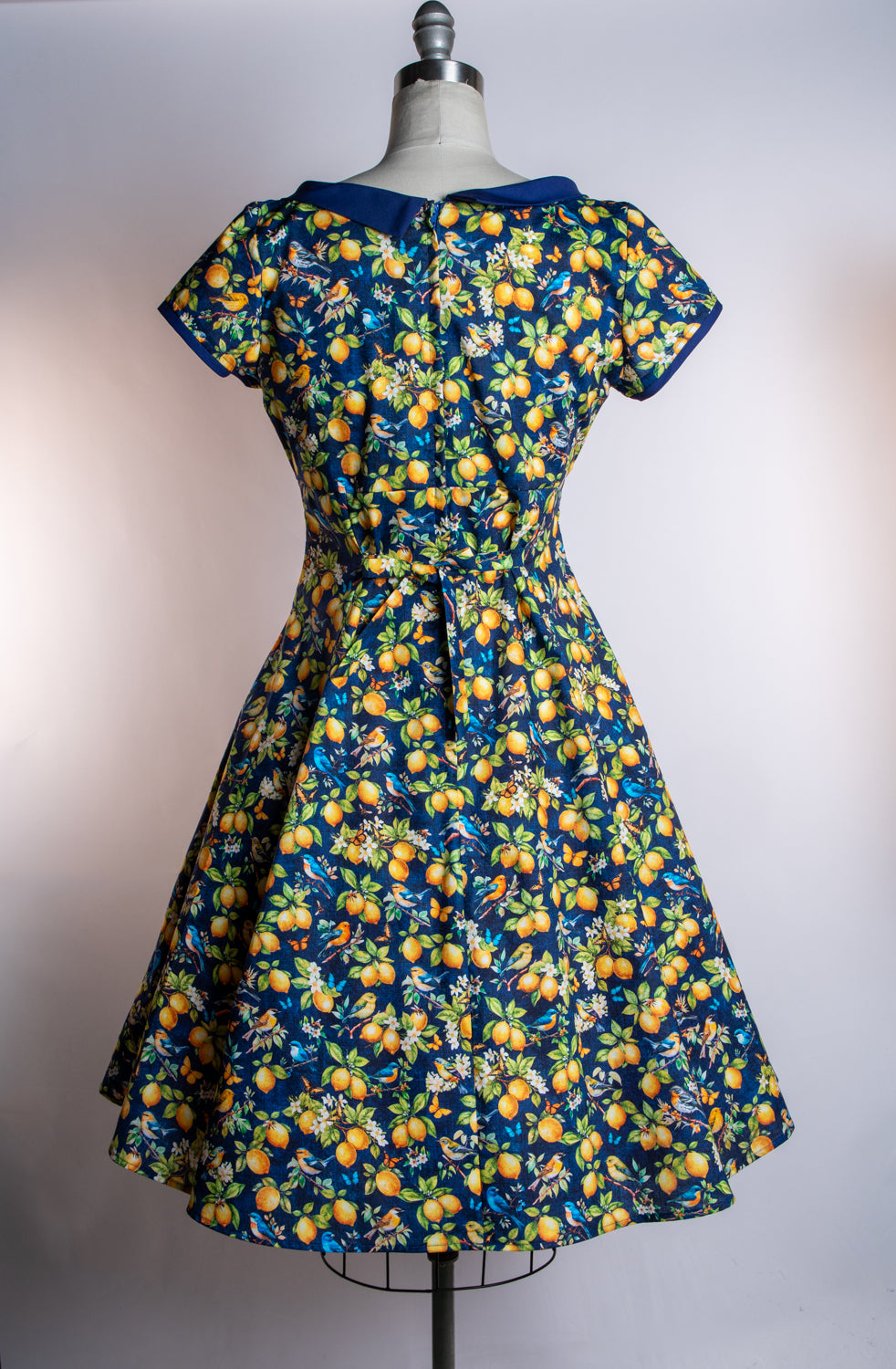 Beverly Dress- Lemons & Songbirds