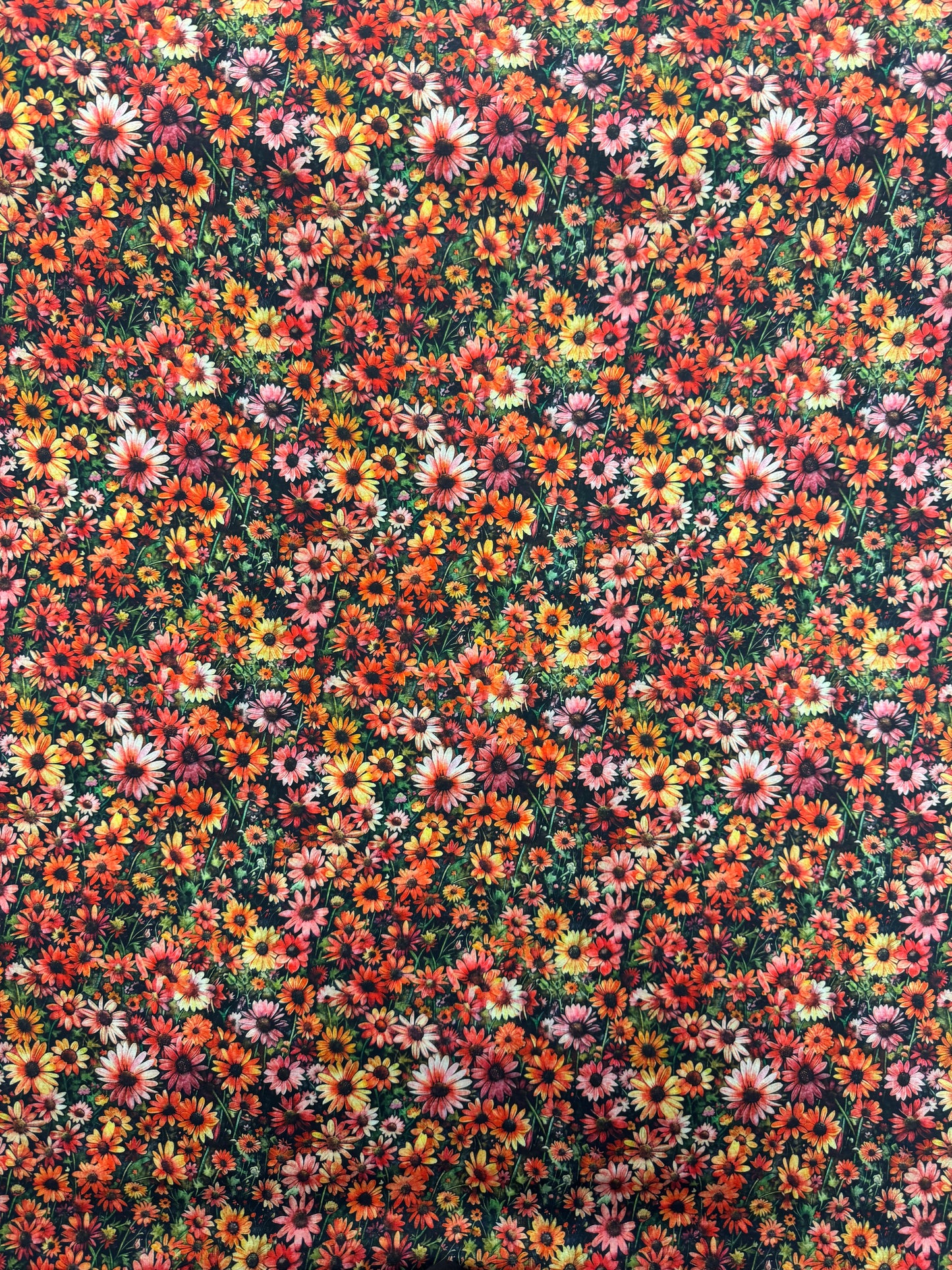 Sunset Daisy Fabric *sale