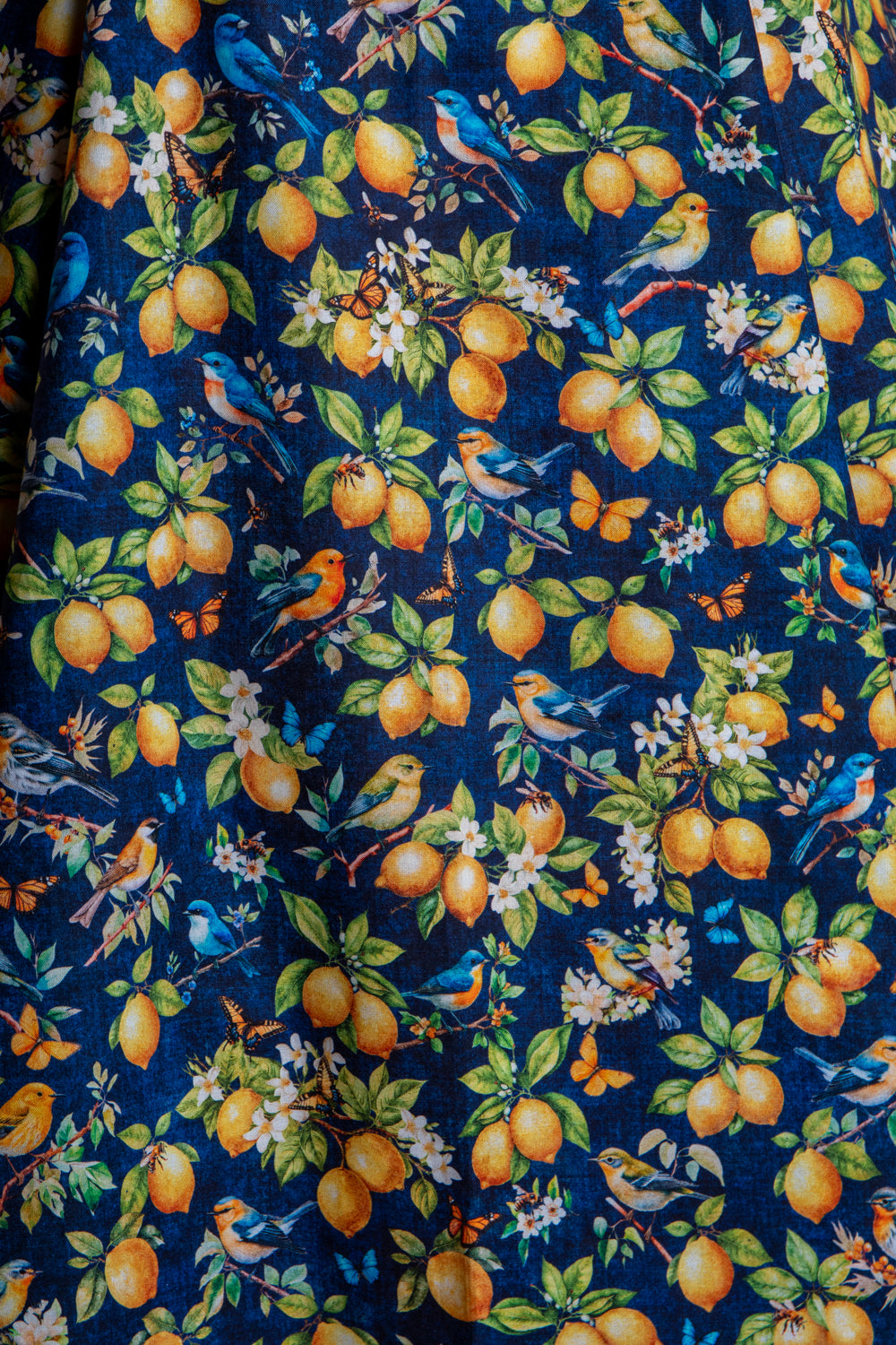 Beverly Dress- Lemons & Songbirds