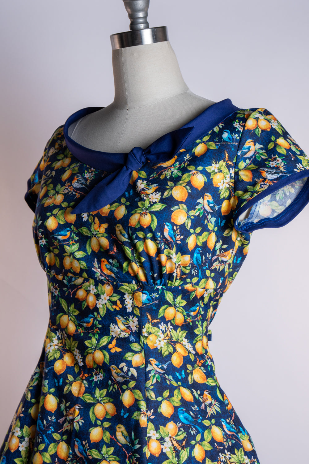 Beverly Dress- Lemons & Songbirds