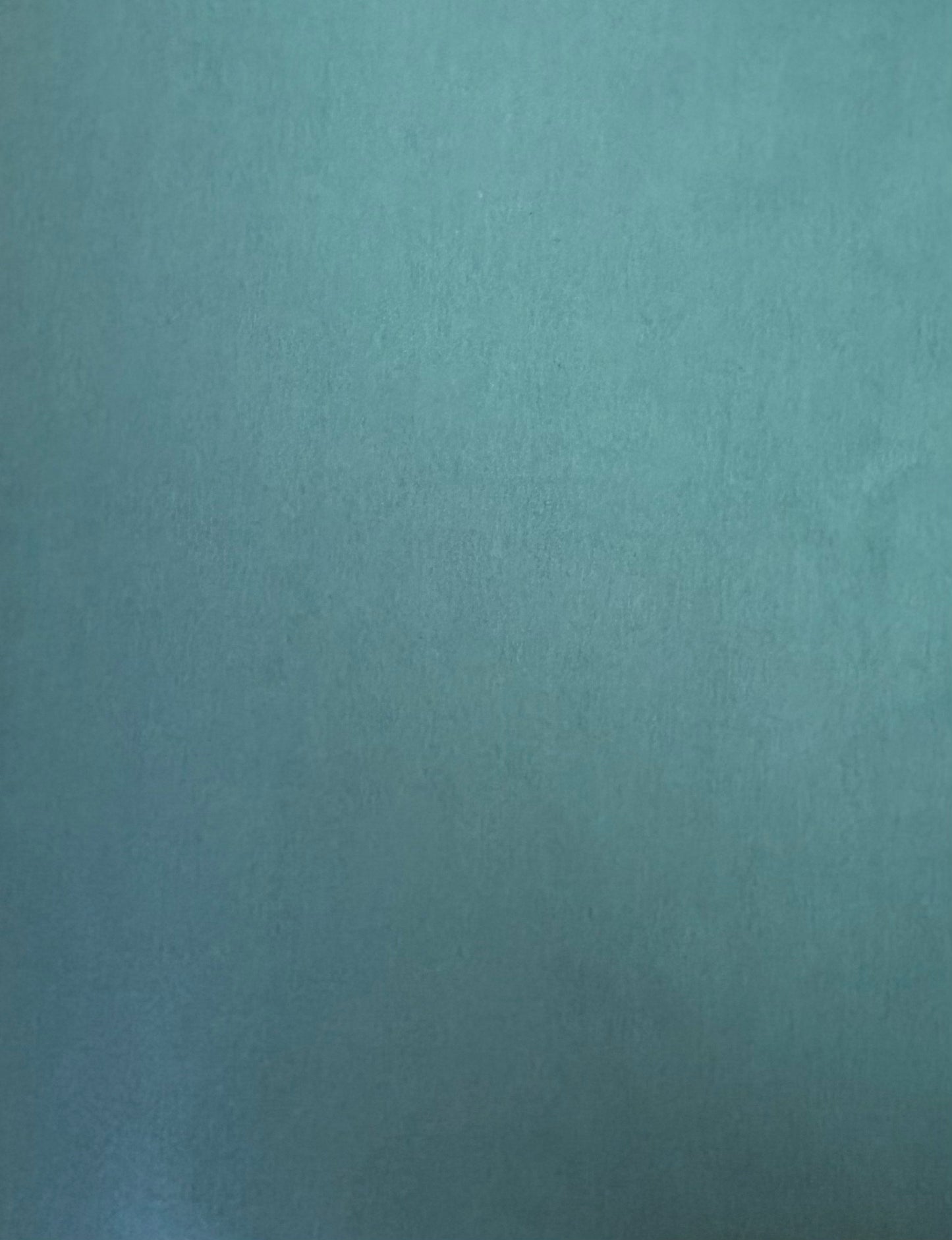 Eucalyptus Knit Fabric *sale
