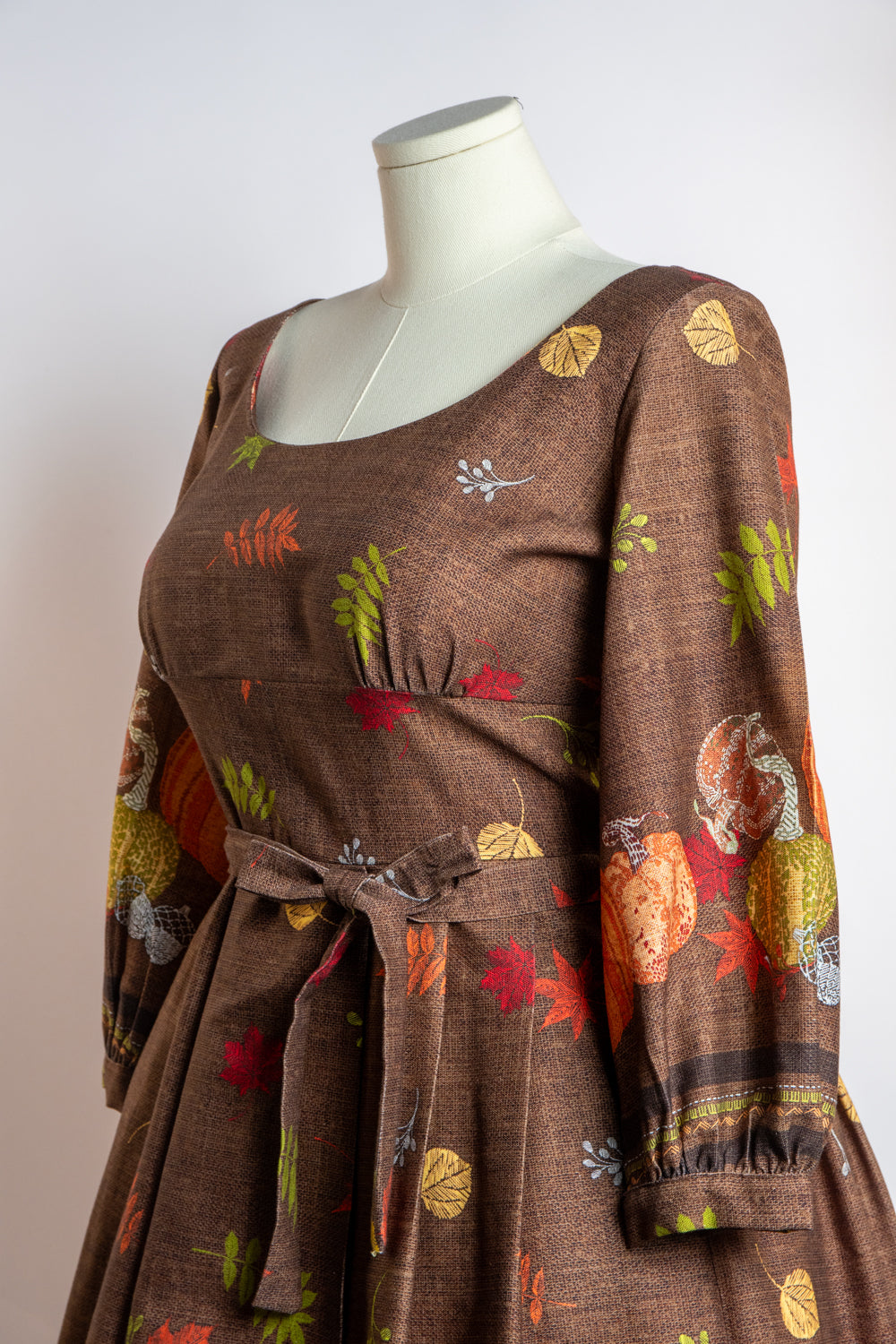 Jenni Dress - Pumpkin Border *sale