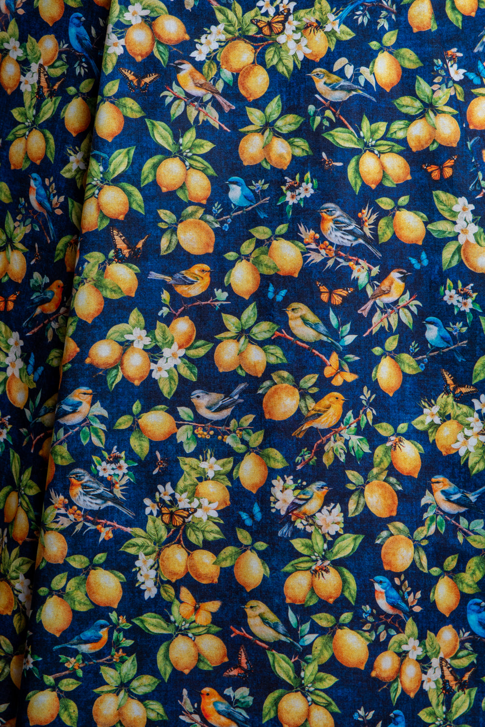 Twirl Skirt- Lemons & Songbirds